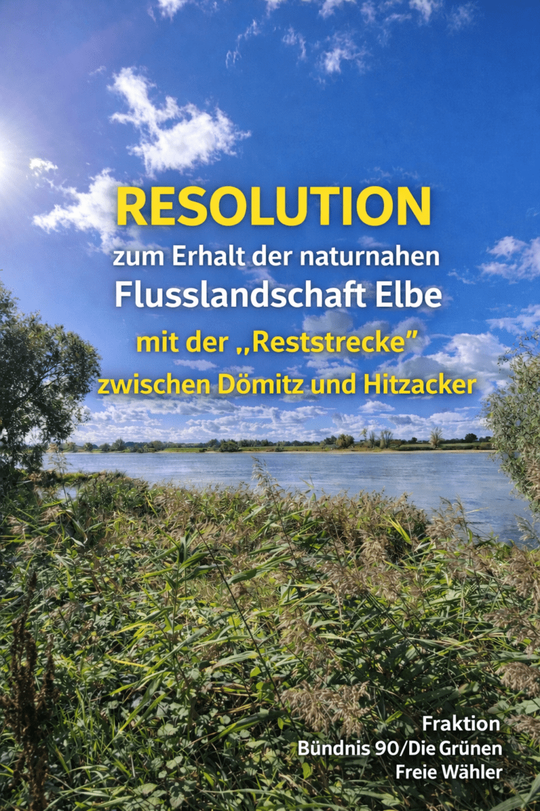 Fraktion fordert klaren Schutz der Elbe – Kritik an Plänen zur weiteren Vertiefung